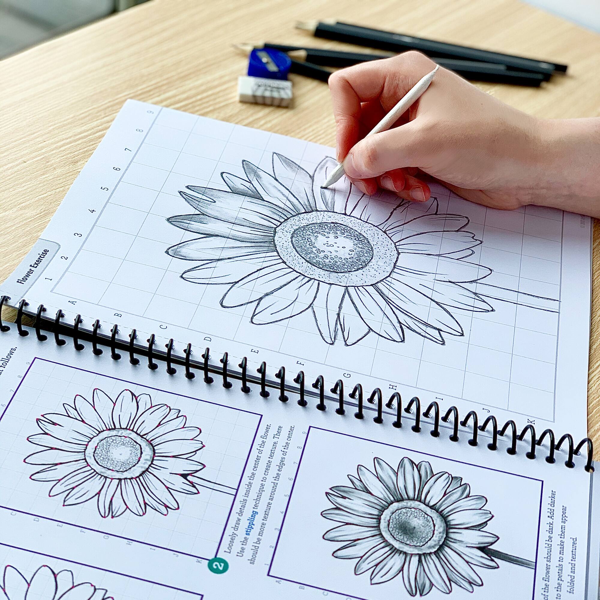 ArtSkills® Art Class Basics Learn to Draw Activity with Pencil Set